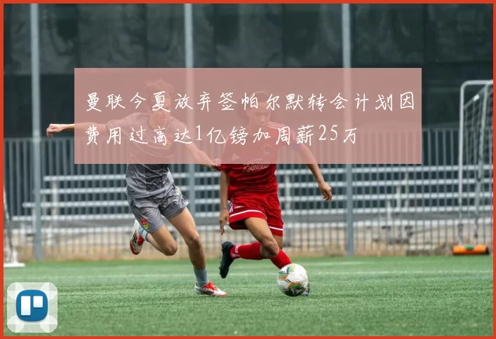 曼联今夏放弃签帕尔默转会计划因费用过高达1亿镑加周薪25万