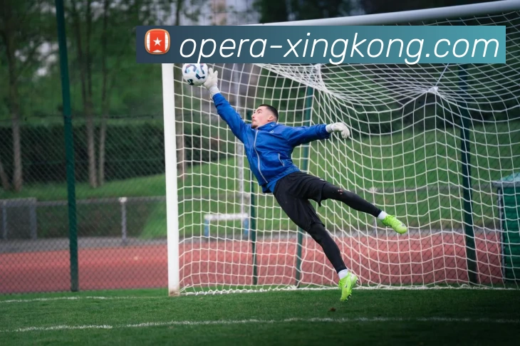 星空体育APP 高清赛事图